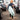 Ultra 4.3mm Wetsuit