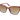 Brentoni 57879C